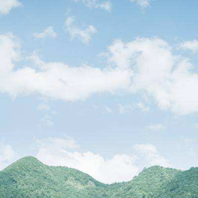 安徽黄山：绿水青山 生态画卷